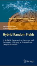 Hybrid Random Fields